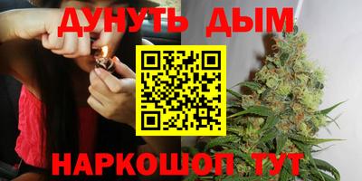 гидра Свободный
